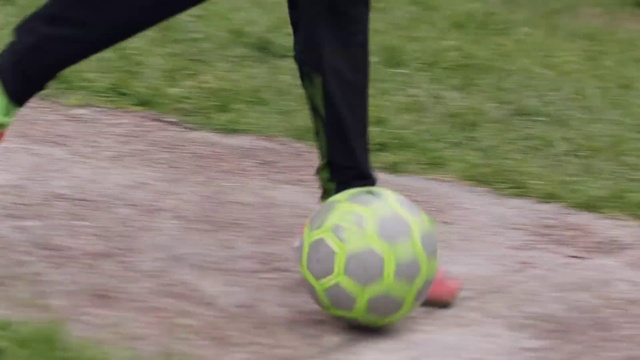 Video Reference N0: Ball, Soccer ball, Football, Grass, Sports equipment, Plant, Soccer