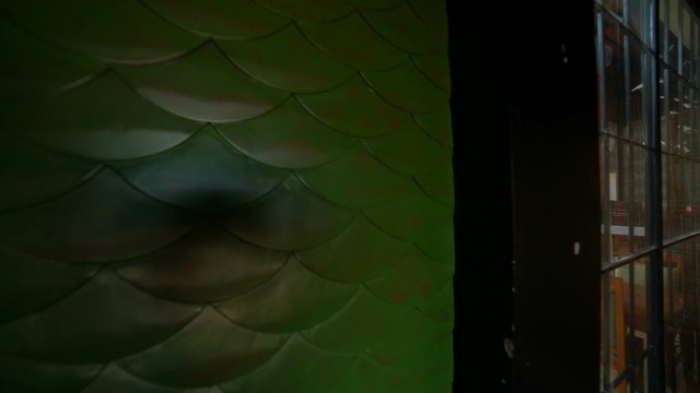 Video Reference N3: Green, Wall, Leaf, Architecture, Light, Yellow, Pattern, Ceiling, Line, Design