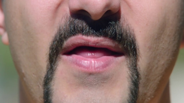 Video Reference N4: Facial hair, Hair, Face, Beard, Lip, Moustache, Nose, Chin, Cheek, Skin