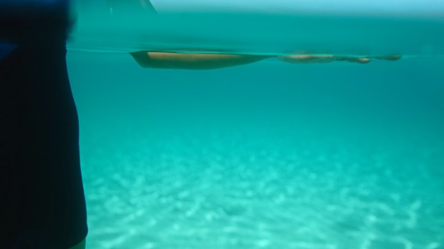 Video Reference N0: Aqua, Underwater, Water, Turquoise, Teal, Azure, Marine biology, Sea, Recreation, Fish
