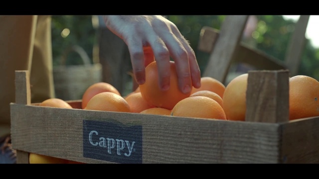 Video Reference N5: Fruit, Local food, Plant, Hand, Food, Vegetable, Egg