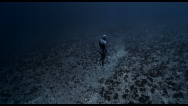 Video Reference N21: underwater, atmosphere, darkness, geological phenomenon, sky, screenshot, water, sea, organism, freediving