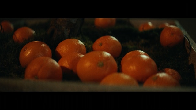 Video Reference N0: Clementine, Still life photography, Fruit, Orange, Food, Orange, Local food, Vegetarian food, Tangerine, Citrus, Person