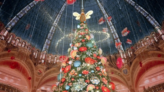 Video Reference N0: Christmas tree, Christmas decoration, Tradition, Architecture, Tree, Christmas, Christmas lights, Interior design, Christmas ornament, Event
