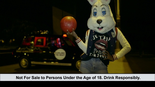 Video Reference N13: Toy, Rabbit, Easter bunny, Mascot, Snout, Rabbits and Hares, Photography, Photo caption, Animation