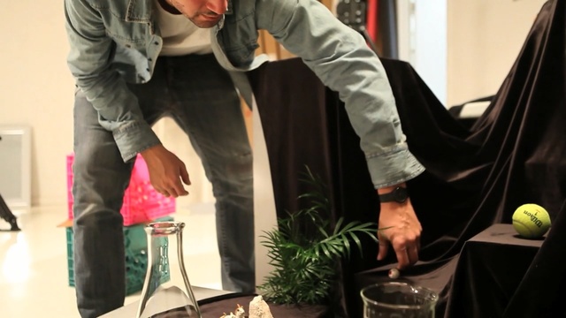Video Reference N1: Houseplant, Jacket, Plant, Outerwear, Textile, Trousers, Art