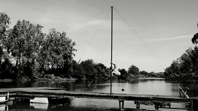 Video Reference N1: reflection, waterway, water, black and white, sky, tree, bridge, monochrome photography, plant, photography