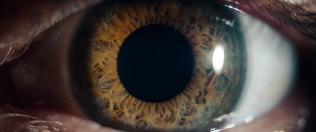 Video Reference N0: Iris, Eye, Close-up, Organ, Brown, Eyelash, Human body, Macro photography, Ophthalmology, Photography