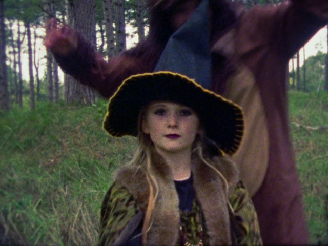 Video Reference N1: Beauty, Leaf, Eye, Tree, Hat, Headgear, Forest, Smile, Photography, Plant