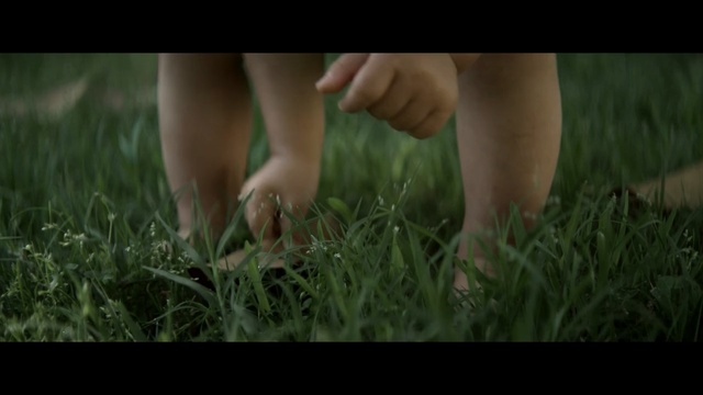 Video Reference N1: People in nature, Nature, Grass, Leg, Meadow, Human leg, Grass, Hand, Lawn, Plant