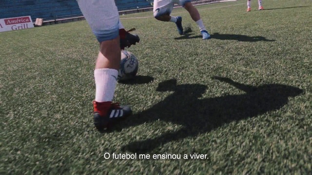 Video Reference N1: Soccer ball, Ball, Grass, Football, Joint, Leg, Human leg, Kick, Player, Sports equipment
