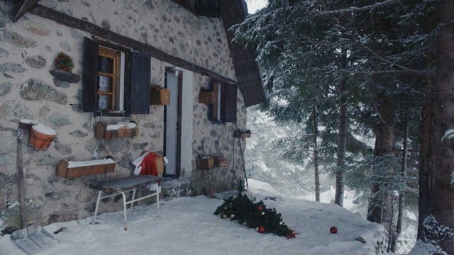 Video Reference N3: snow, winter, home, town, property, house, freezing, tree, geological phenomenon, neighbourhood