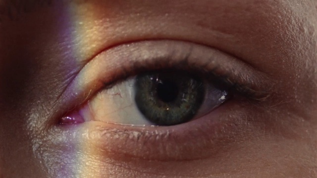 Video Reference N3: Eyebrow, Eye, Face, Iris, Eyelash, Skin, Close-up, Organ, Nose, Brown