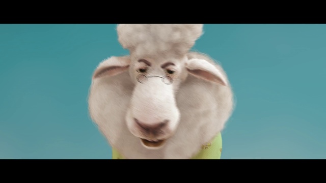Video Reference N0: Sheep, Sheep, Nose, Goats, Snout, Organism, Adaptation, Goat, Cow-goat family, Photography