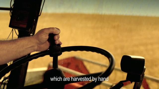 Video Reference N0: Hand, Finger, Technology, Bicycle handlebar, Photography, Bicycle part, Vehicle, Thumb