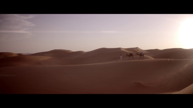 Video Reference N2: Desert, Sand, Natural environment, Erg, Sahara, Aeolian landform, Dune, Sky, Singing sand, Landscape