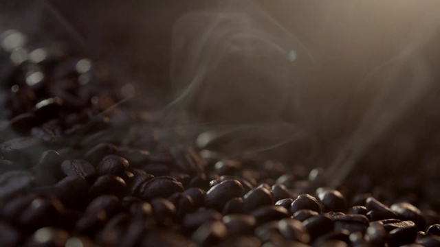 Video Reference N1: Black, Brown, Caffeine, Single-origin coffee, Jamaican blue mountain coffee, Bean, Photography, Still life photography, Plant, Java coffee