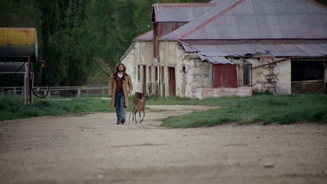Video Reference N1: Rural area, Barn, House, Fawn, Person