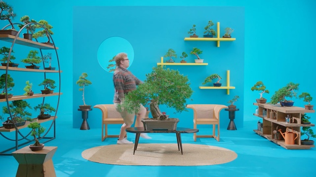 Video Reference N0: Turquoise, Room, Majorelle blue, Furniture, Interior design, Table, Houseplant, Organism, Tree, Plant, Person
