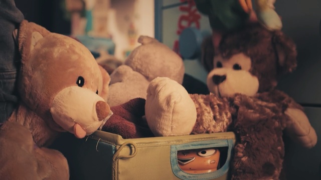 Video Reference N2: skin, teddy bear, stuffed toy, toy, girl, child, snout, Person