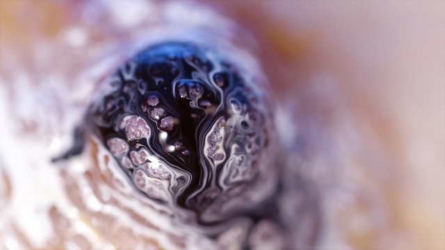 Video Reference N24: Water, Macro photography, Close-up, Purple, Violet, Organism, Eye, Plant, Parasite, Art