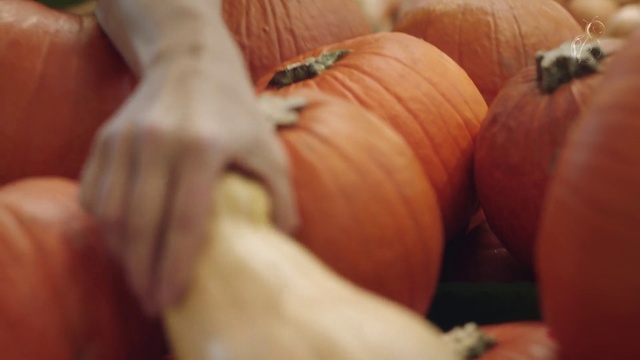 Video Reference N2: Vegetable, Pumpkin, Winter squash, Finger, Hand, Plant, Calabaza, Food, Thumb, Nail
