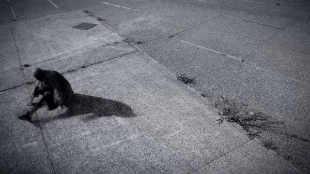 Video Reference N2: Black, White, Black-and-white, Monochrome, Shadow, Snapshot, Monochrome photography, Road surface, Canidae, Cat