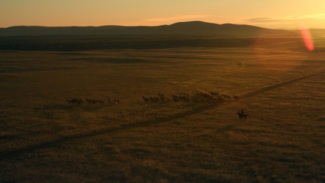 Video Reference N1: ecosystem, grassland, ecoregion, plain, sky, steppe, hill, morning, horizon, dawn