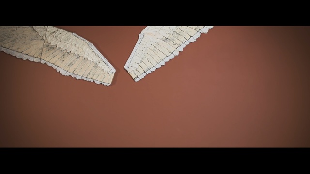 Video Reference N0: close up, macro photography, wood, angle, wing, computer wallpaper, darkness, sky