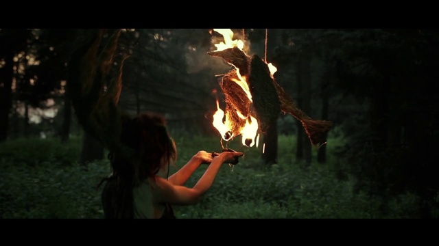 Video Reference N5: Fire, Heat, Flame, Campfire, Screenshot, Bonfire, Photography