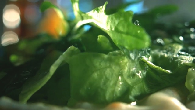 Video Reference N1: Leaf, Vegetable, Leaf vegetable, Food, Spinach, Plant, Collard greens, Chard, Produce, Spring greens, Person