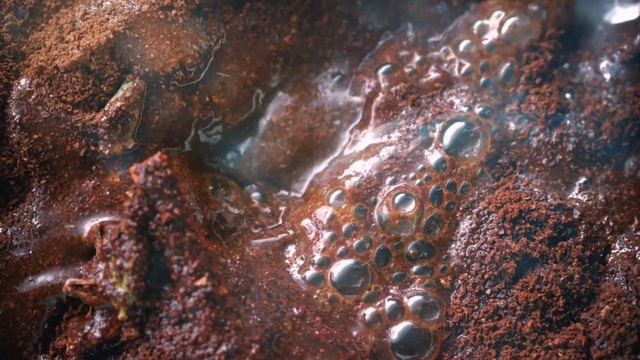 Video Reference N2: Water, Organism, Copper, Rock, Macro photography, Metal