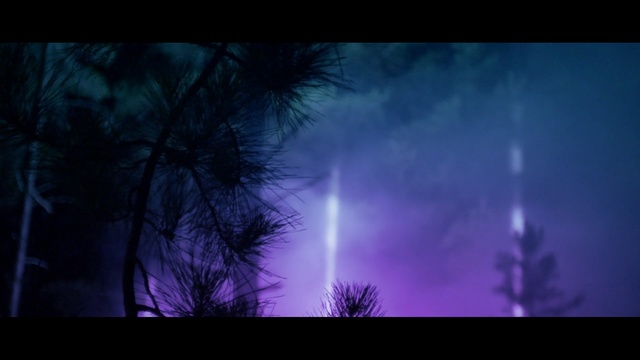 Video Reference N5: Sky, Nature, Purple, Violet, Darkness, Atmosphere, Tree, Atmospheric phenomenon, Night, Midnight