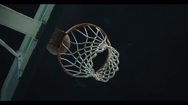 Video Reference N11: Basketball, Net, Team sport, Basketball court, Organism, Basketball hoop, Ball game, Ball, Basketball moves