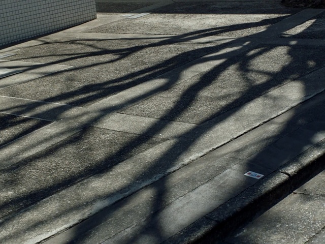 Video Reference N0: Shadow, Light, Line, Wood, Road surface, Architecture, Asphalt, Pattern, Sunlight, Black-and-white