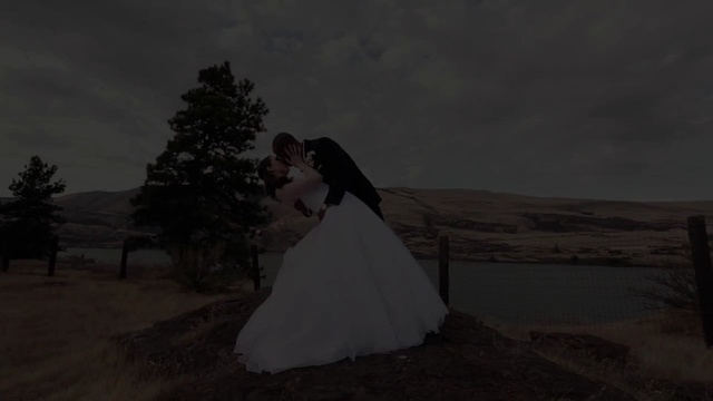 Video Reference N7: dress, photograph, gown, sky, wedding dress, bridal clothing, bride, darkness, girl, tree