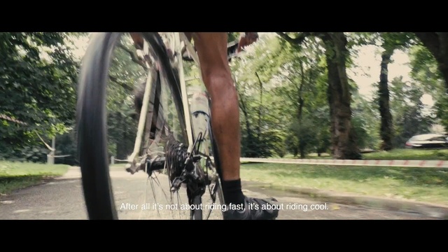 Video Reference N6: Nature, Tree, Natural environment, Woodland, Forest, Trunk, Woody plant, Bicycle, Sunlight, Road bicycle, Person