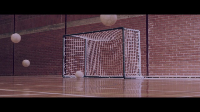 Video Reference N1: Net, Goal, Sports equipment, Team sport