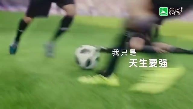 Video Reference N1: Panda, Football, Football player, Soccer ball, Soccer, Player, Ball, Sports equipment, Team sport, Ball game