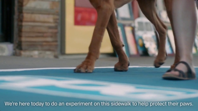 Video Reference N5: Leg, Human leg, Joint, Floor, Leisure, Footwear, Muscle, Human body, Fun, Foot