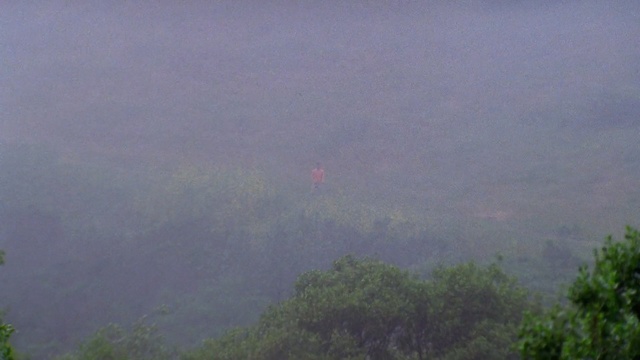 Video Reference N1: sky, hill station, mist, highland, haze, forest, ridge, vegetation, fog, tree