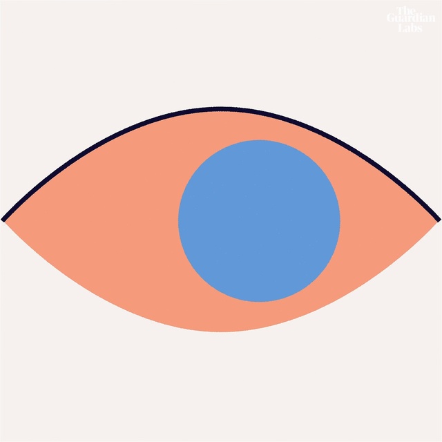 Video Reference N0: Orange, Eye, Circle, Logo, Graphics, Clip art, Illustration