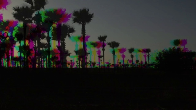 Video Reference N6: Nature, Light, Tree, Pink, Magenta, Sky, Plant, Darkness, Palm tree, Arecales