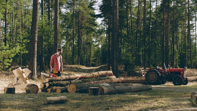 Video Reference N4: Logging, Tree, Forest, Woodland, Wood, Natural environment, Lumber, Bigtree, Trunk, Lumberjack