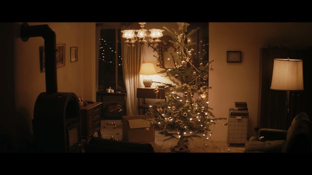 Video Reference N0: Light, Lighting, Room, Tree, Darkness, Christmas, Light fixture, Branch, Night, Architecture