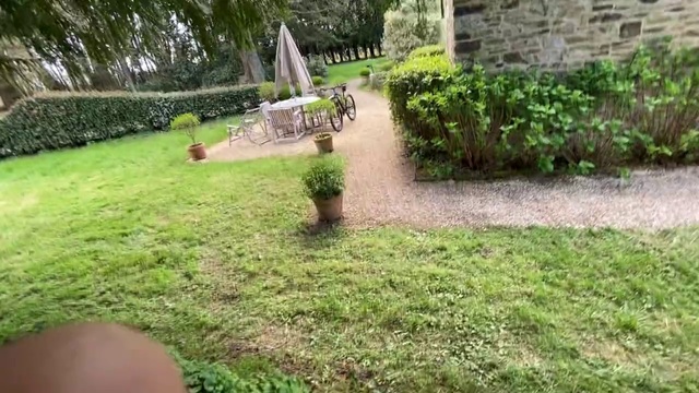 Video Reference N6: Lawn, Grass, Property, Yard, Garden, Land lot, Grass family, Backyard, Shrub, Landscaping