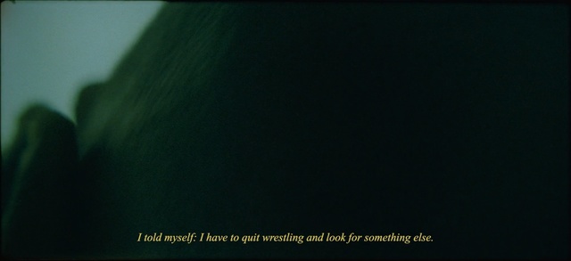 Video Reference N1: Green, Black, Text, Darkness, Font, Atmosphere, Sky, Leaf, Line, Organism