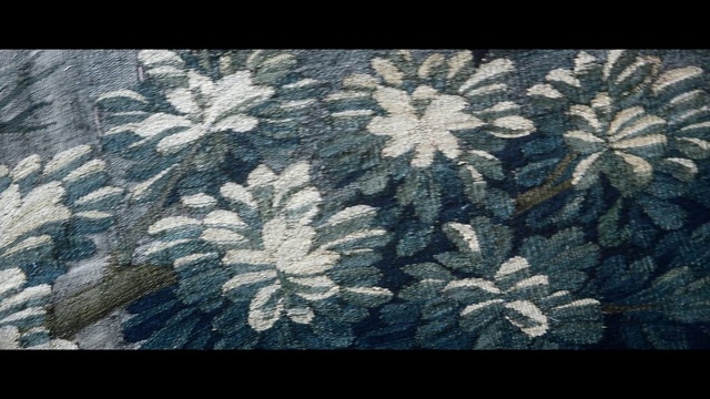 Video Reference N0: Pattern, Textile, Design, Leaf, Tree, World, Lace, Plant, Art, Photo, Sitting, Small, Bed, Covered, Bird, Black, Man, Blurry, White, Flower, Text, Motif, Fabric