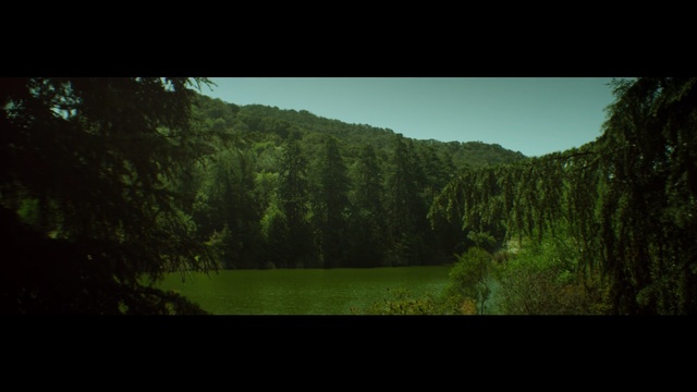 Video Reference N1: green, nature, vegetation, ecosystem, nature reserve, water, wilderness, forest, sky, tree