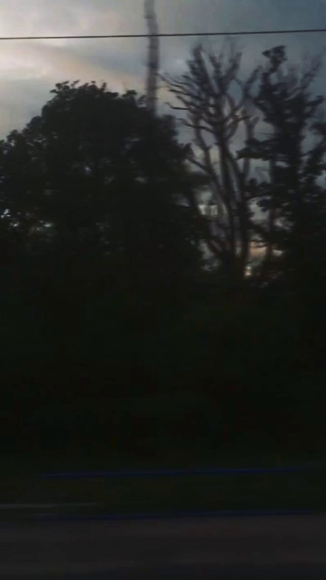 Video Reference N5: Sky, Tree, Black, Atmospheric phenomenon, Cloud, Morning, Evening, Darkness, Atmosphere, Woody plant